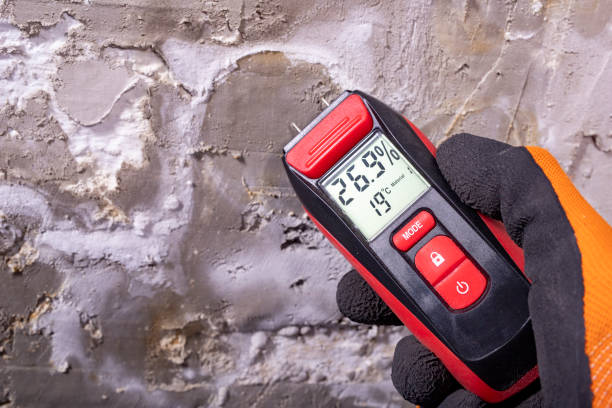 Best Mold Remediation for Specific Building Types in Brookville, PA